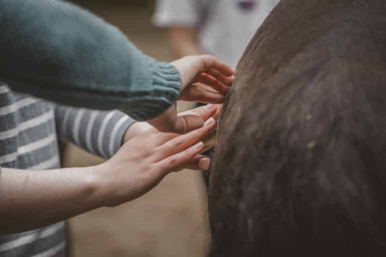 Review Tage VPO 2026 – Jetzt anmelden!